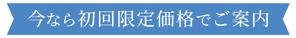 今なら初回限定価格でご案内